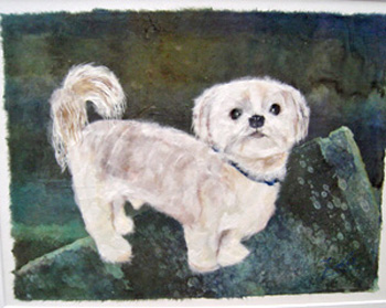 僕の名前は”風太”です