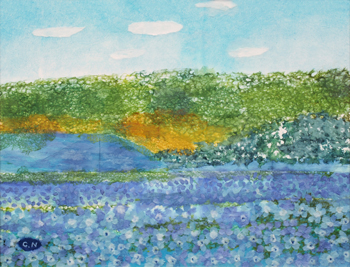 ブルーの絨毯（ネモフィラ）