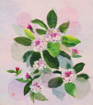沈丁花