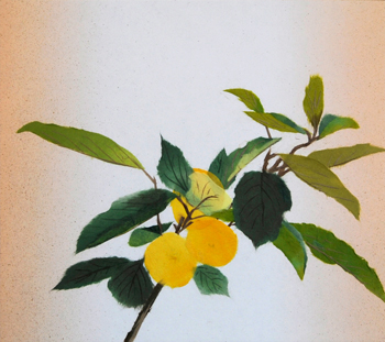 うんしゅうみかん