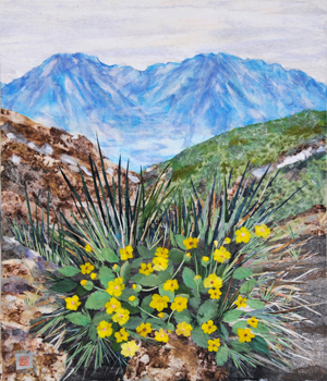 春の八方池（キシムシロ）