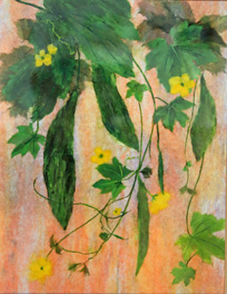 夏野菜ゴーヤ