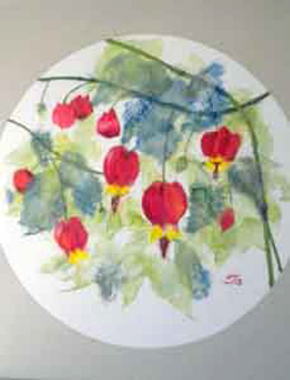 おとぎの国のランプ（アブチロン）