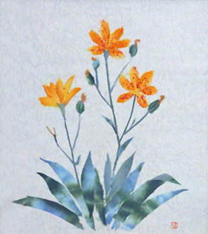 檜扇の花
