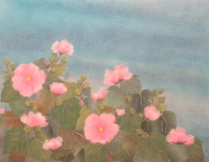 芙蓉