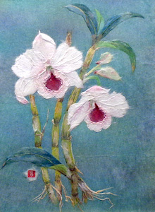 蘭