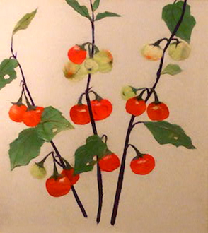 花茄子