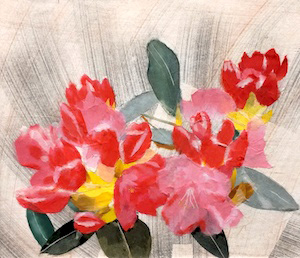 石楠花