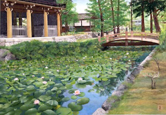 永澤寺の睡蓮