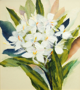 ジンジャーリリー