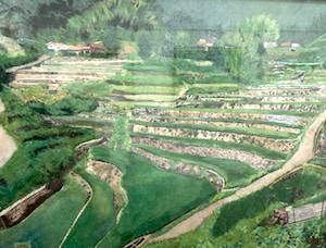 井仁の棚田