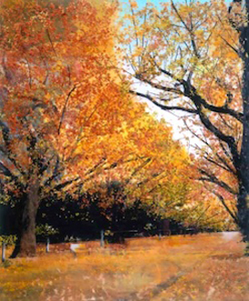 黄金色の散歩道