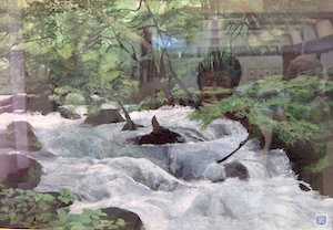 秋山に響く