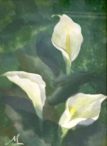 カラー（1)