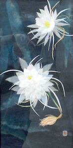 月下美人