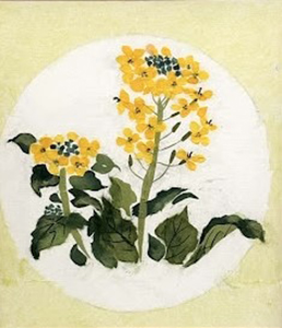 なの花（習作）