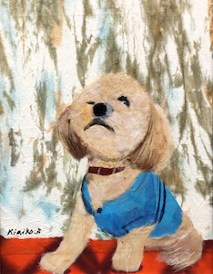 僕お洋服嫌い！