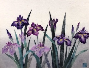 紫の競艶（あやめ）