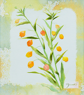 サンダーソニア