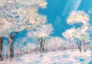 眩雪（習作）