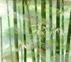 竹林