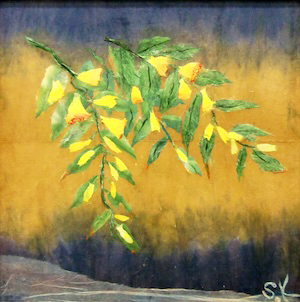 ジョウロウホトトギス