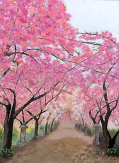 ぼたん桜