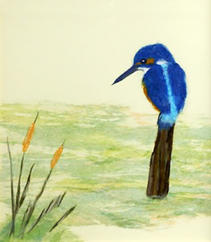 かわせみ（習作）