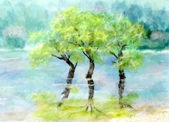 新緑の輝き（習作）