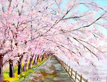 桜花爛漫