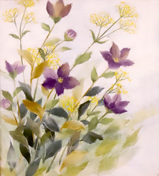 キキョウ（習作）