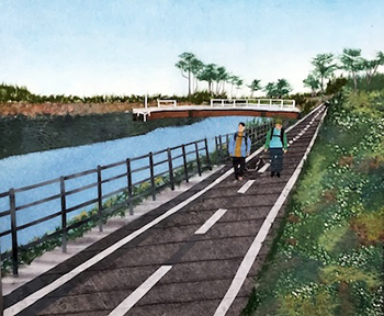 散歩道（貞山運河）