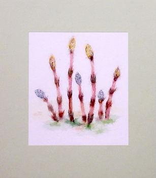 つくし（習作）