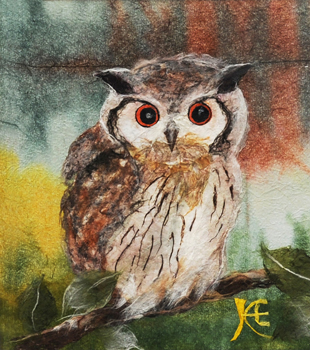 アフリカの鳥3 サハラ南〜アフリカオオコノハズク