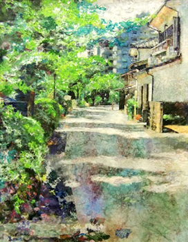 木漏れ日（一の坂川周辺６月）