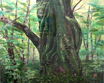 苔むすブナの樹