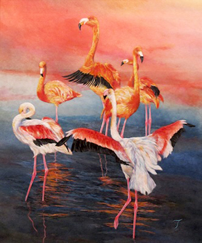 夕日のフラミンゴ