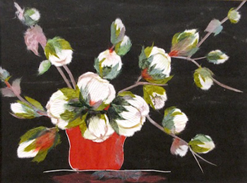 コットンストーリー（習作）