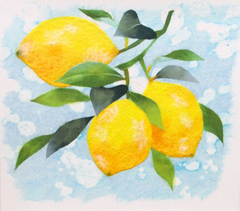 レモン（習作）