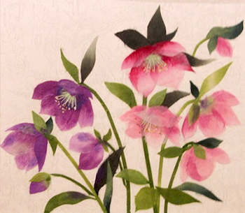 クリスマスローズ（習作）