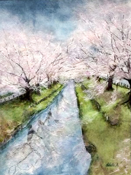 旅の記録〜新河岸川の桜〜