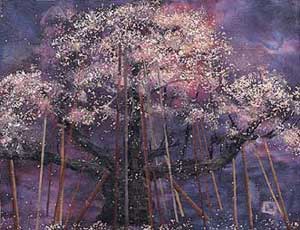 淡墨桜 1