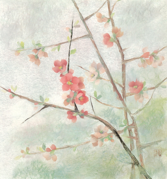 木瓜