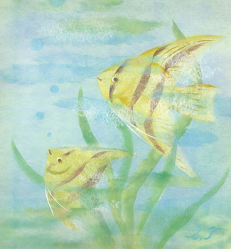 游（熱帯魚）