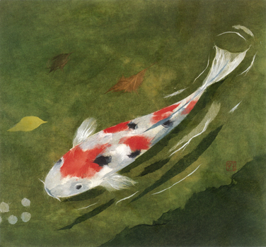 鯉