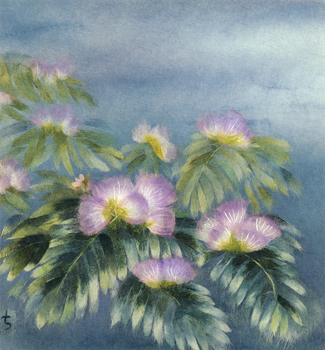 合歓の花