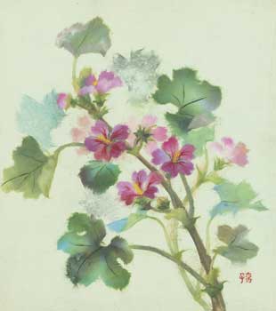 花葵