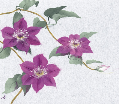 鉄線花